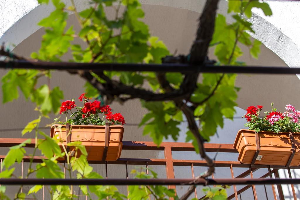 Apartment Veca *